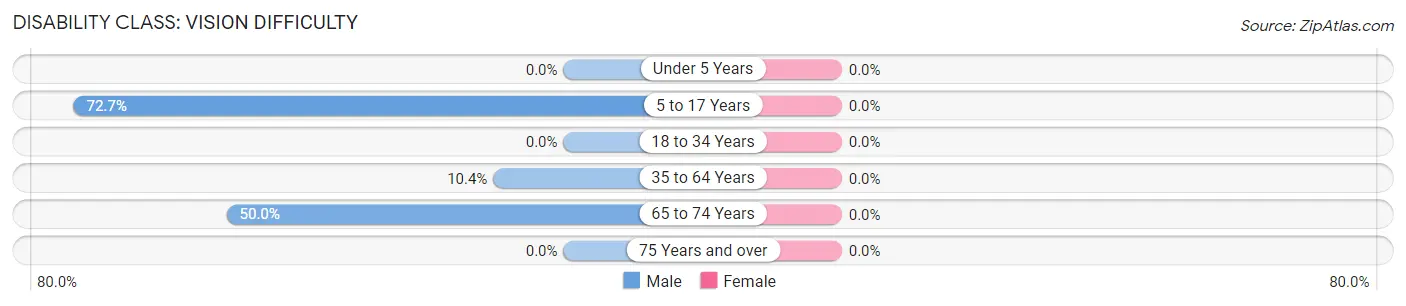 Disability in Zip Code 29659: <span>Vision Difficulty</span>