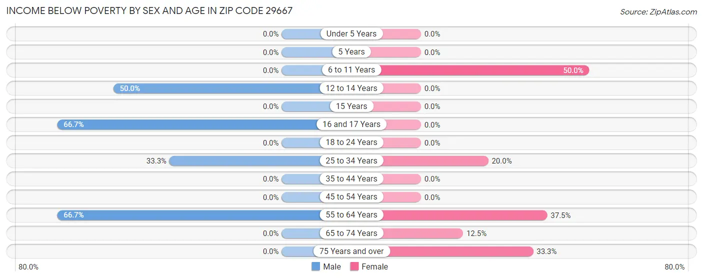 Income Below Poverty by Sex and Age in Zip Code 29667