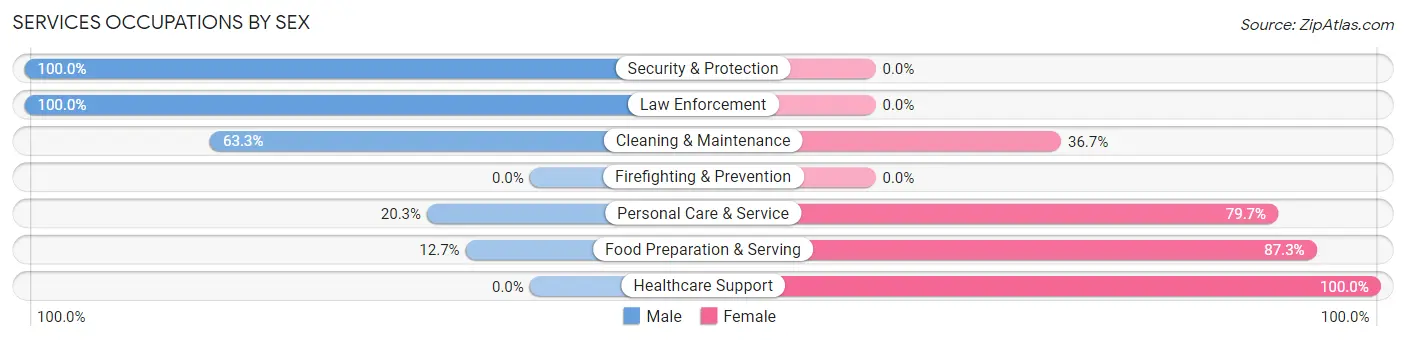 Services Occupations by Sex in Zip Code 29670