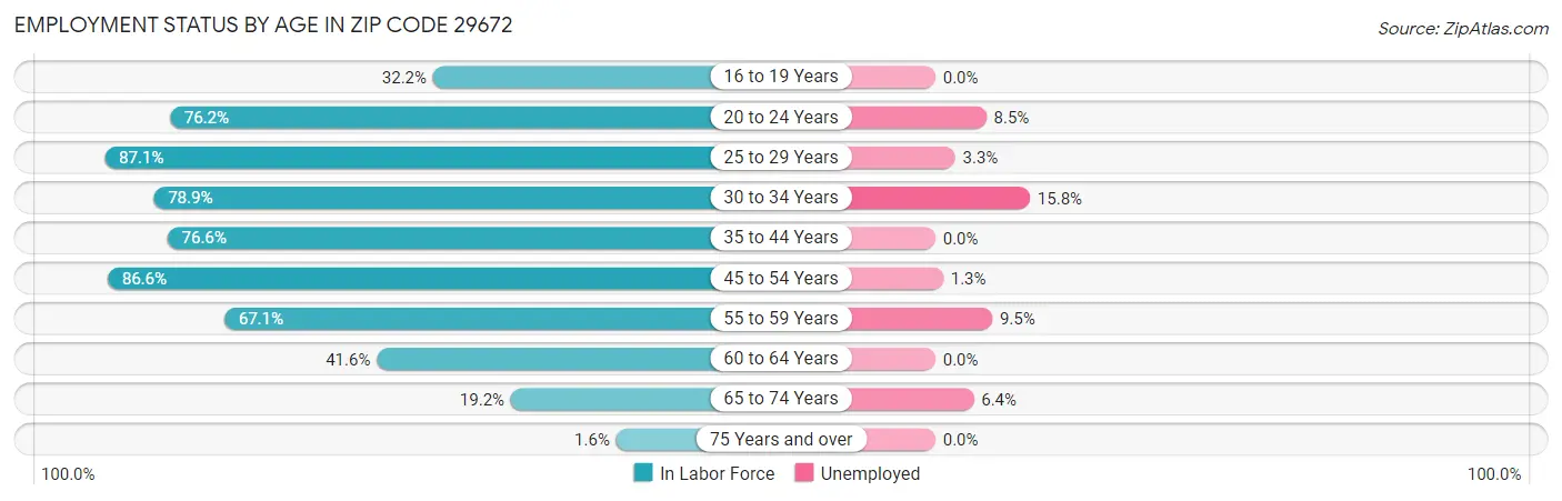 Employment Status by Age in Zip Code 29672
