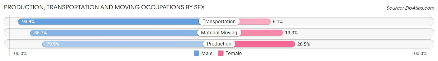 Production, Transportation and Moving Occupations by Sex in Zip Code 29672