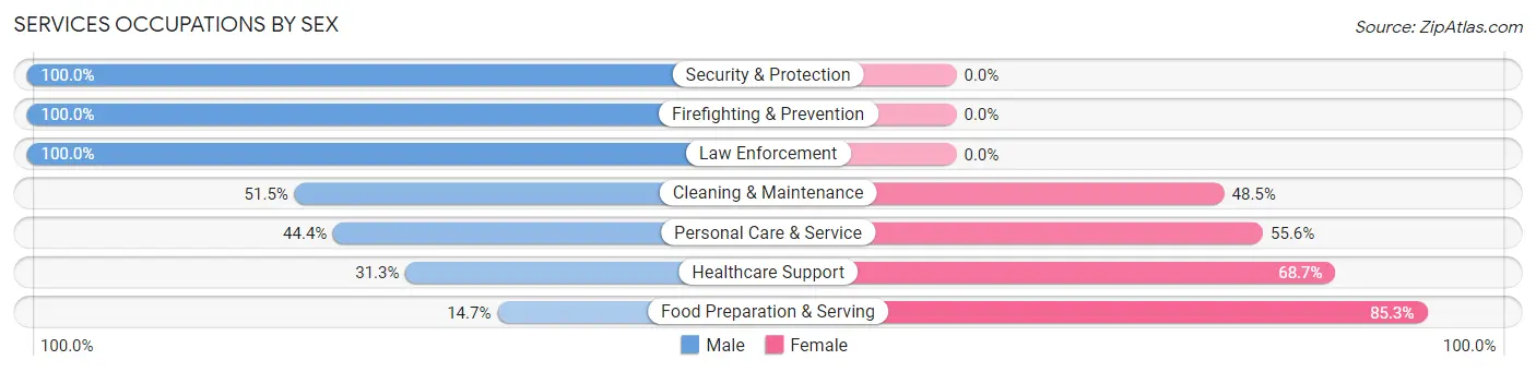 Services Occupations by Sex in Zip Code 29672