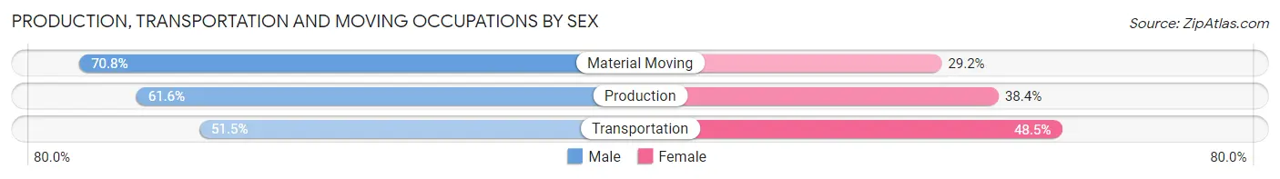 Production, Transportation and Moving Occupations by Sex in Zip Code 29702