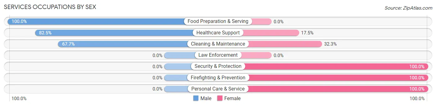 Services Occupations by Sex in Zip Code 29704