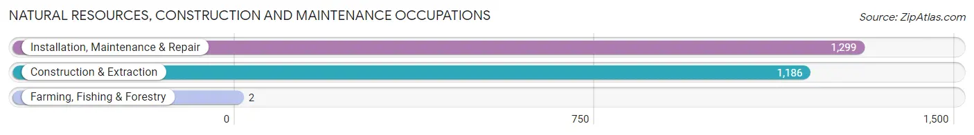 Natural Resources, Construction and Maintenance Occupations in Zip Code 29720