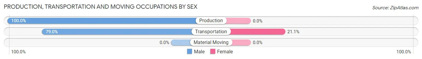 Production, Transportation and Moving Occupations by Sex in Zip Code 29849