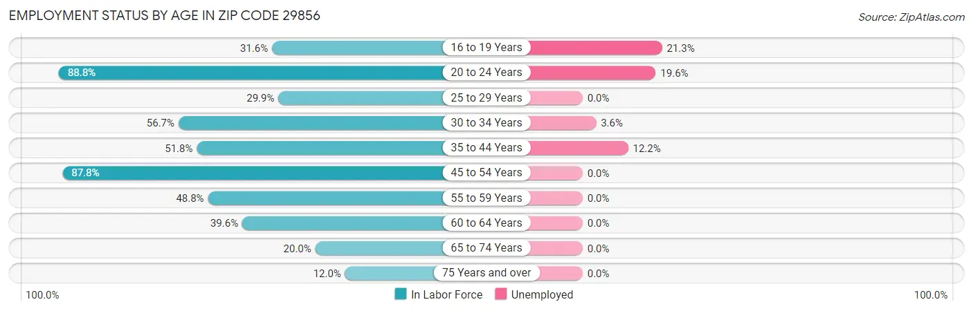 Employment Status by Age in Zip Code 29856