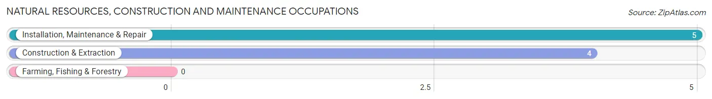 Natural Resources, Construction and Maintenance Occupations in Zip Code 29904