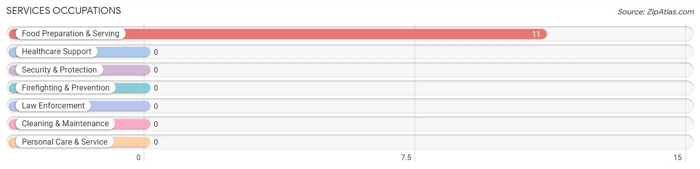 Services Occupations in Zip Code 29905