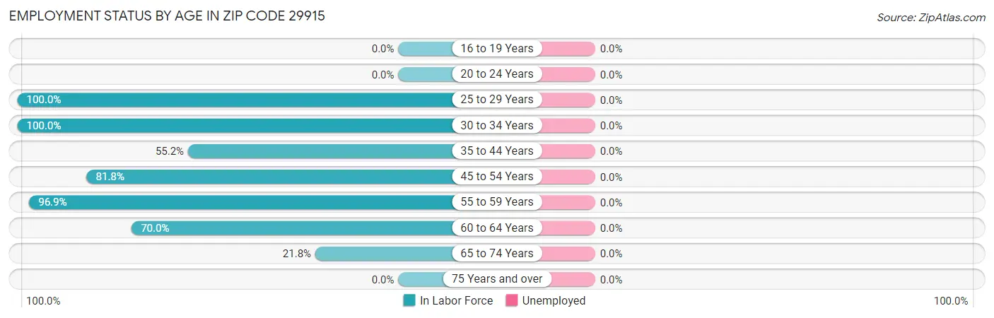 Employment Status by Age in Zip Code 29915