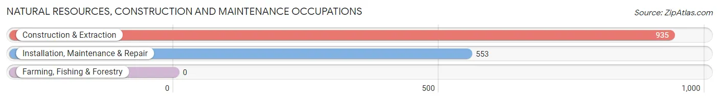 Natural Resources, Construction and Maintenance Occupations in Zip Code 30019