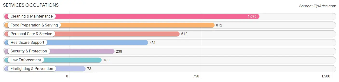 Services Occupations in Zip Code 30019