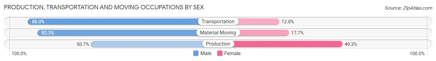 Production, Transportation and Moving Occupations by Sex in Zip Code 30028