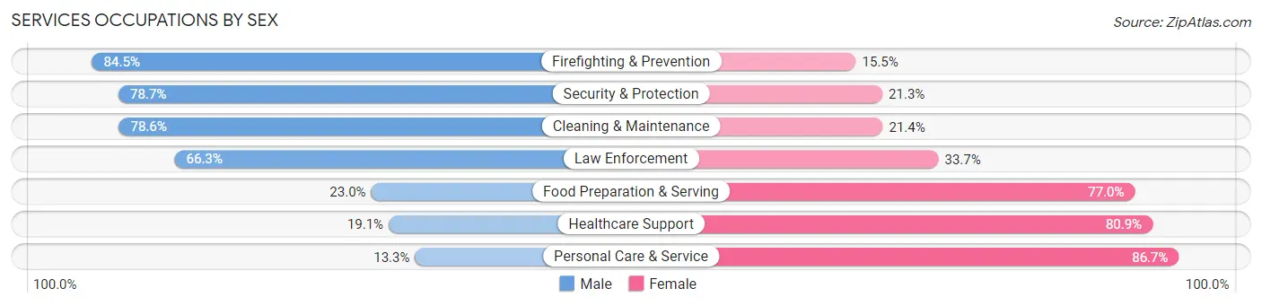 Services Occupations by Sex in Zip Code 30028