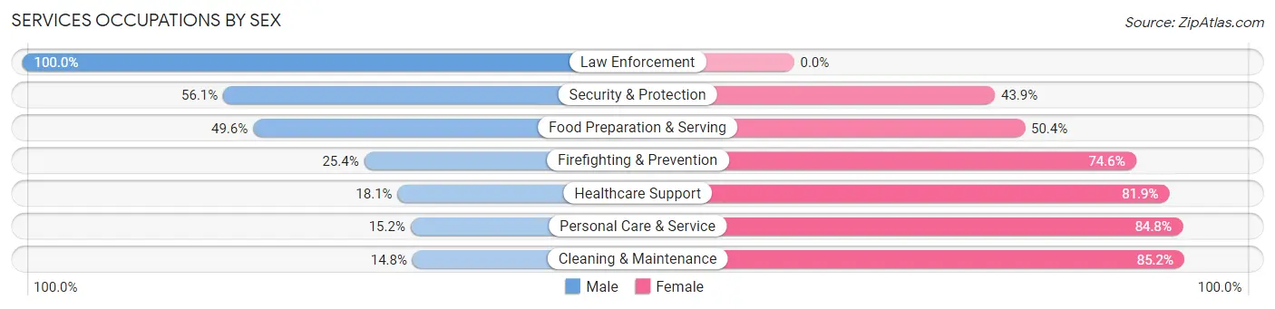 Services Occupations by Sex in Zip Code 30030