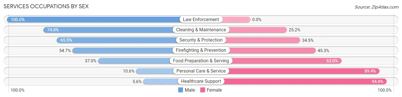 Services Occupations by Sex in Zip Code 30045
