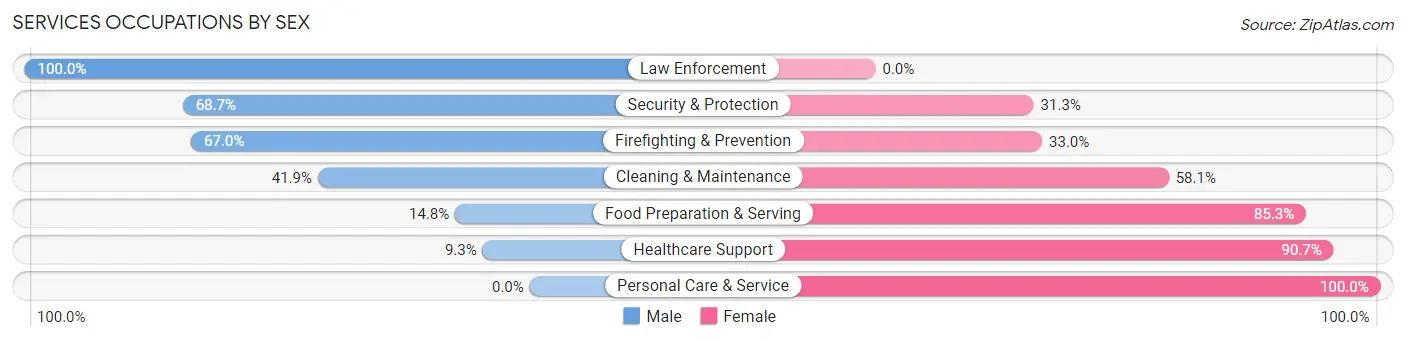 Services Occupations by Sex in Zip Code 30079