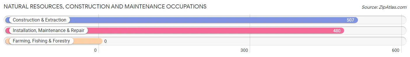 Natural Resources, Construction and Maintenance Occupations in Zip Code 30087