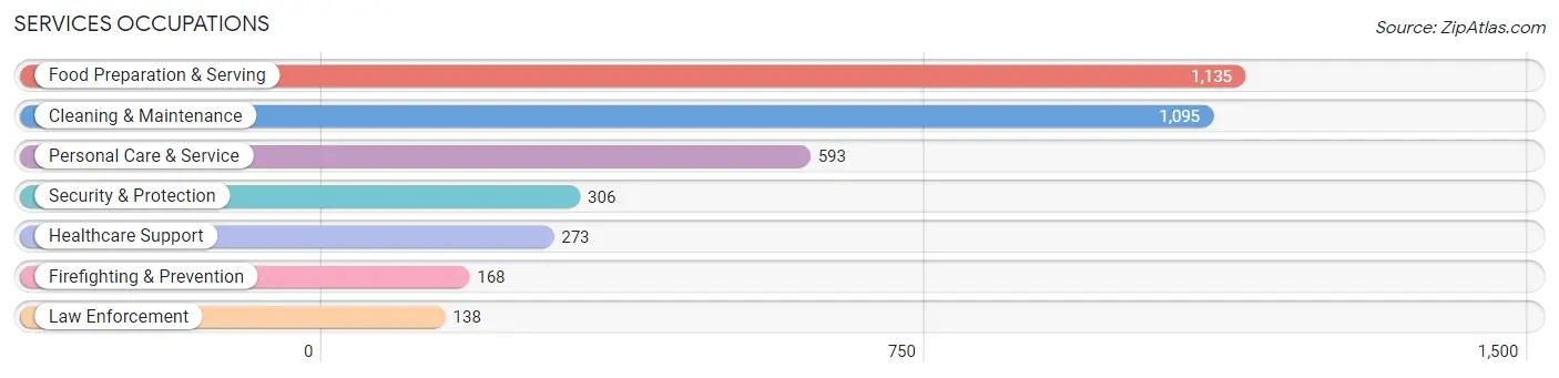 Services Occupations in Zip Code 30102