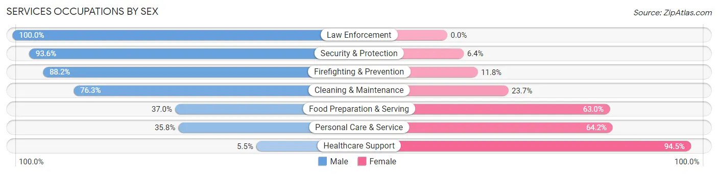Services Occupations by Sex in Zip Code 30143