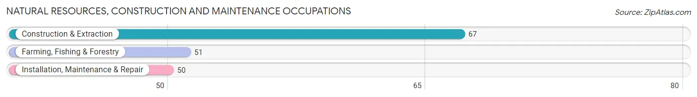 Natural Resources, Construction and Maintenance Occupations in Zip Code 30317