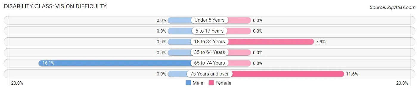 Disability in Zip Code 30326: <span>Vision Difficulty</span>