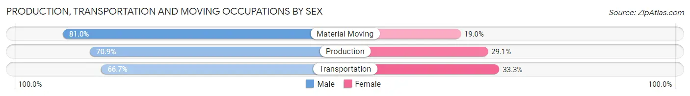 Production, Transportation and Moving Occupations by Sex in Zip Code 30517