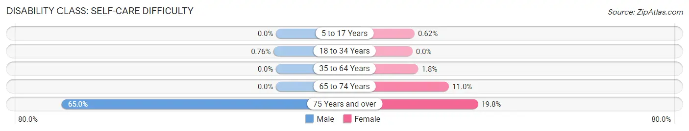 Disability in Zip Code 30531: <span>Self-Care Difficulty</span>