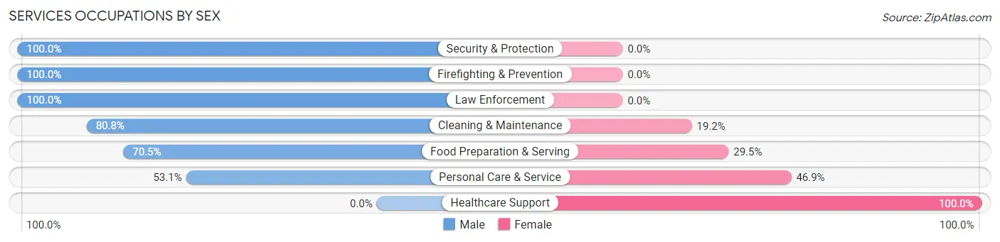 Services Occupations by Sex in Zip Code 30536