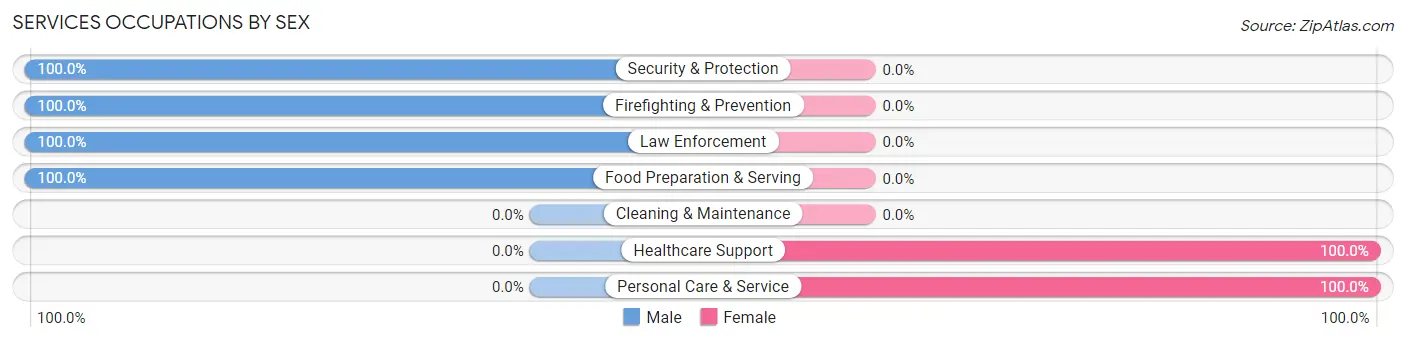 Services Occupations by Sex in Zip Code 30545