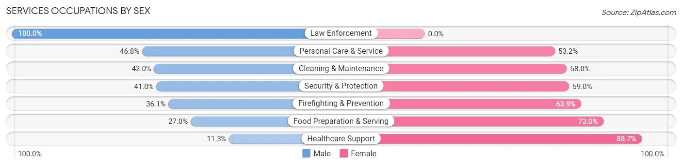 Services Occupations by Sex in Zip Code 30553