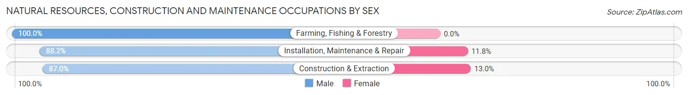 Natural Resources, Construction and Maintenance Occupations by Sex in Zip Code 30662