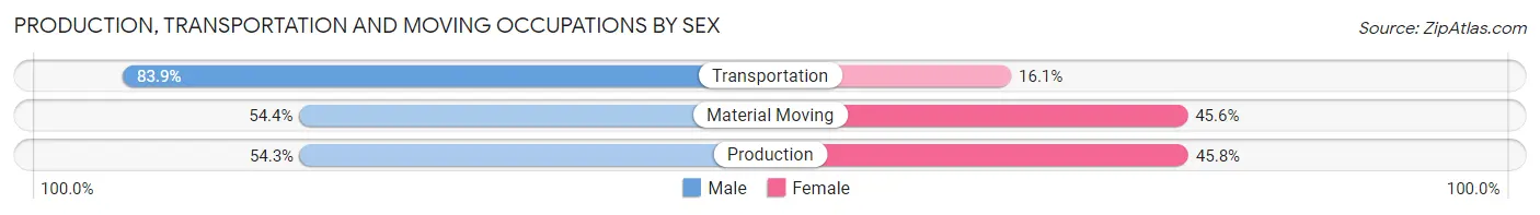 Production, Transportation and Moving Occupations by Sex in Zip Code 30741