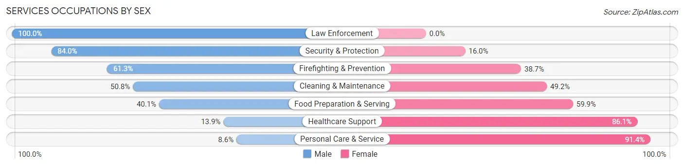 Services Occupations by Sex in Zip Code 30741