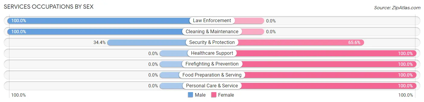 Services Occupations by Sex in Zip Code 31006