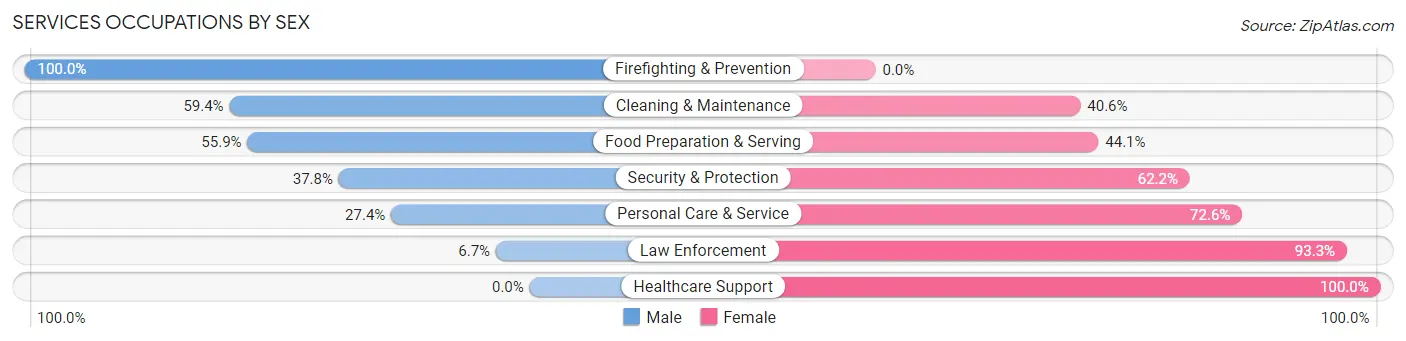 Services Occupations by Sex in Zip Code 31027