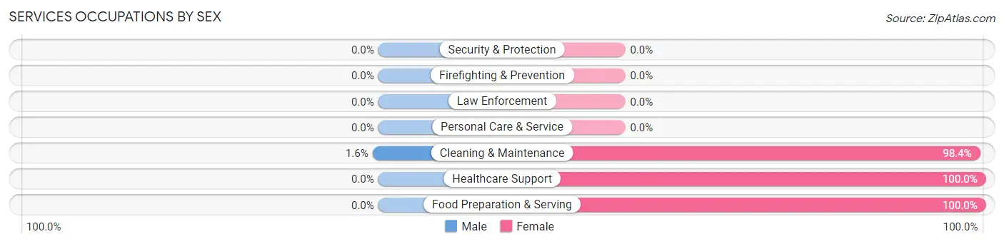 Services Occupations by Sex in Zip Code 31041