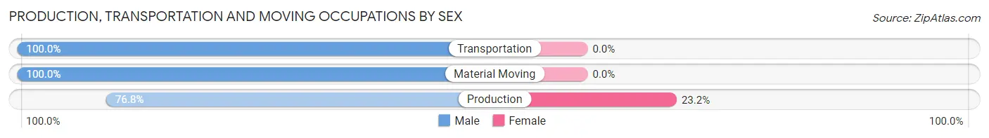 Production, Transportation and Moving Occupations by Sex in Zip Code 31055