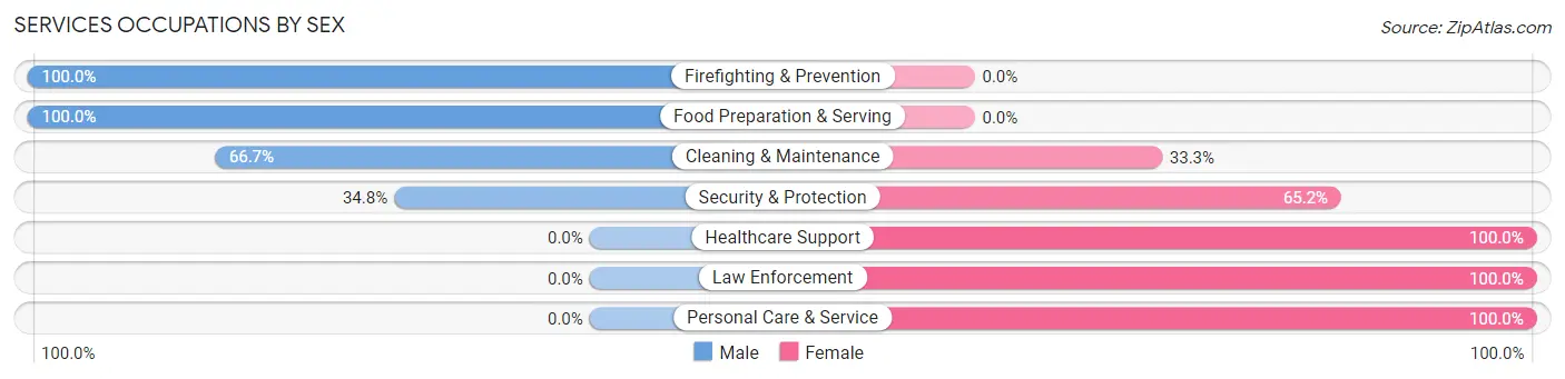 Services Occupations by Sex in Zip Code 31085