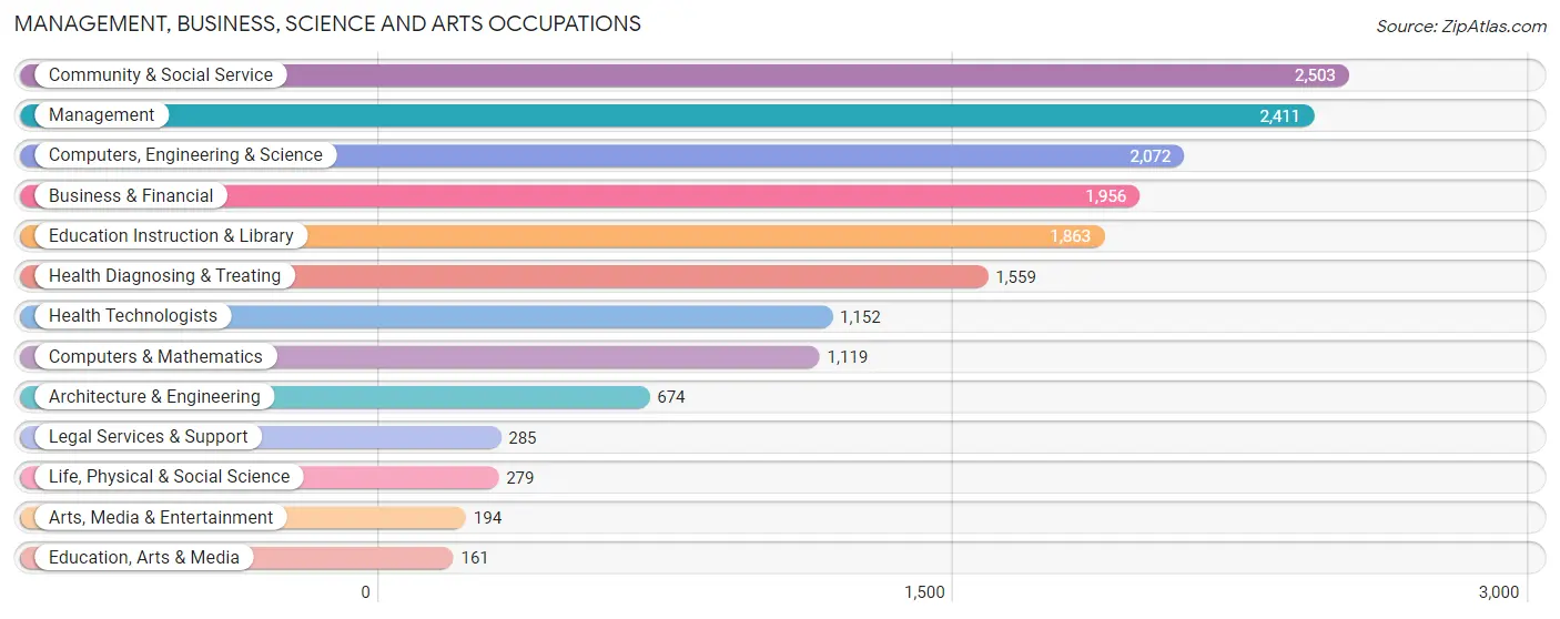 Management, Business, Science and Arts Occupations in Zip Code 31088