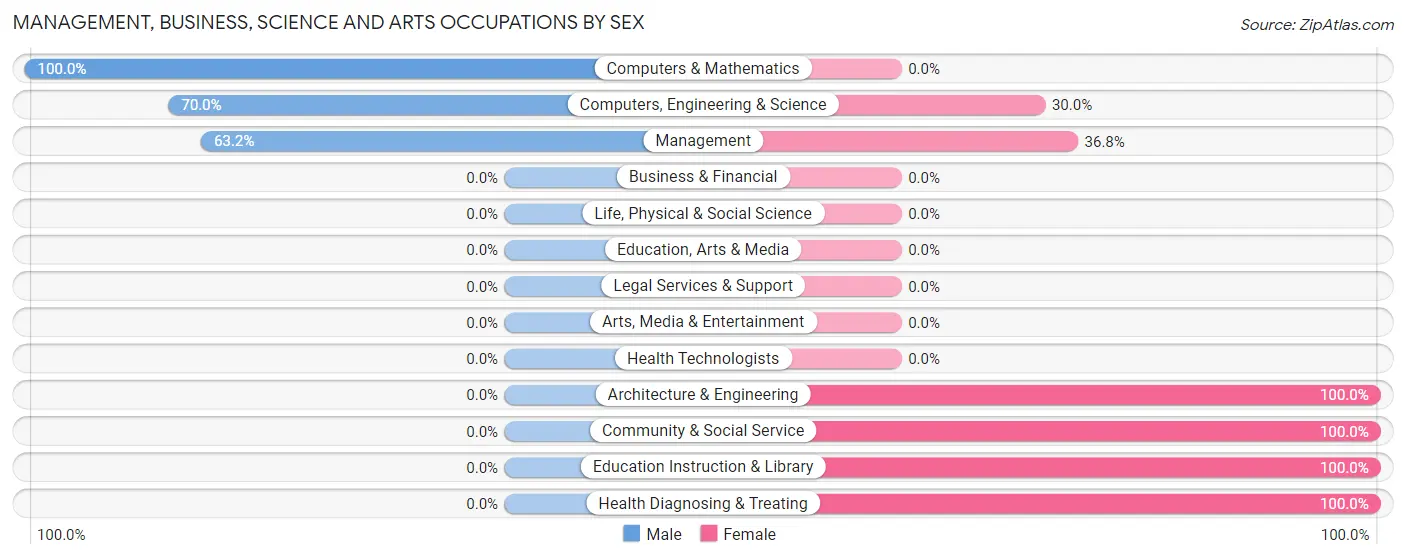 Management, Business, Science and Arts Occupations by Sex in Zip Code 31207