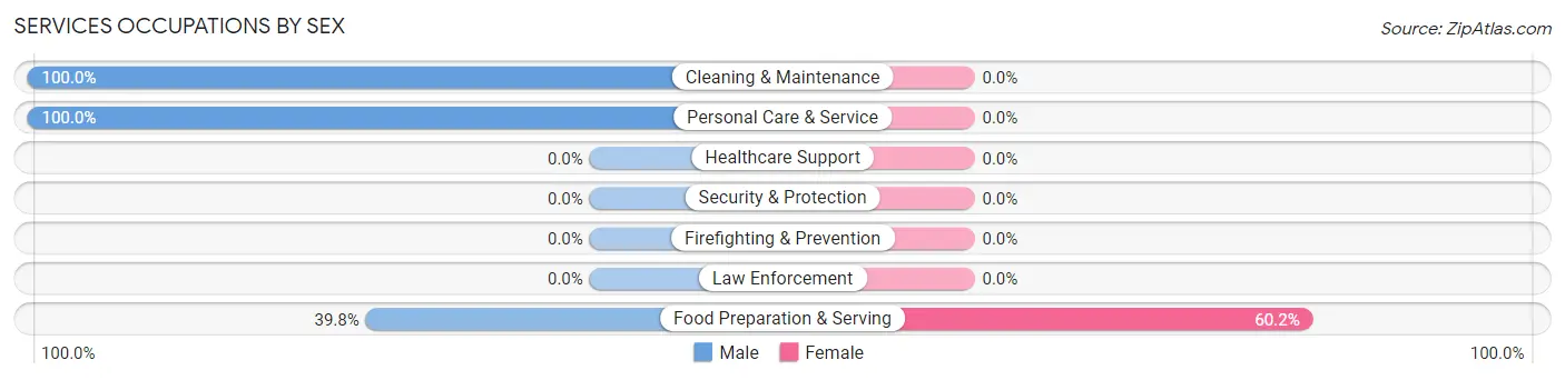 Services Occupations by Sex in Zip Code 31207