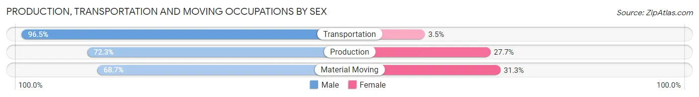 Production, Transportation and Moving Occupations by Sex in Zip Code 31220