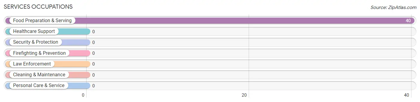 Services Occupations in Zip Code 31307