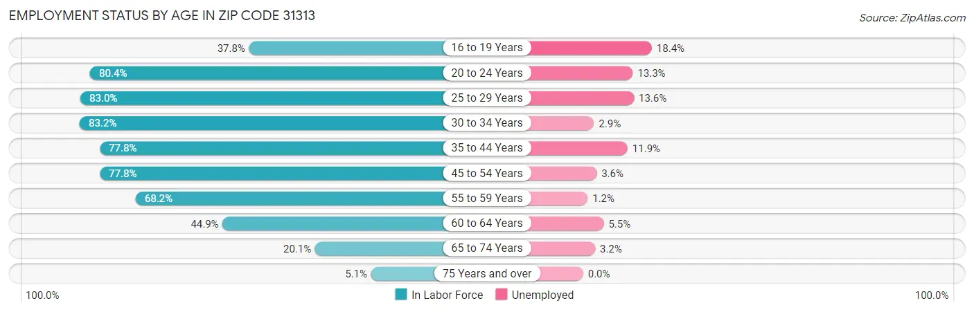 Employment Status by Age in Zip Code 31313