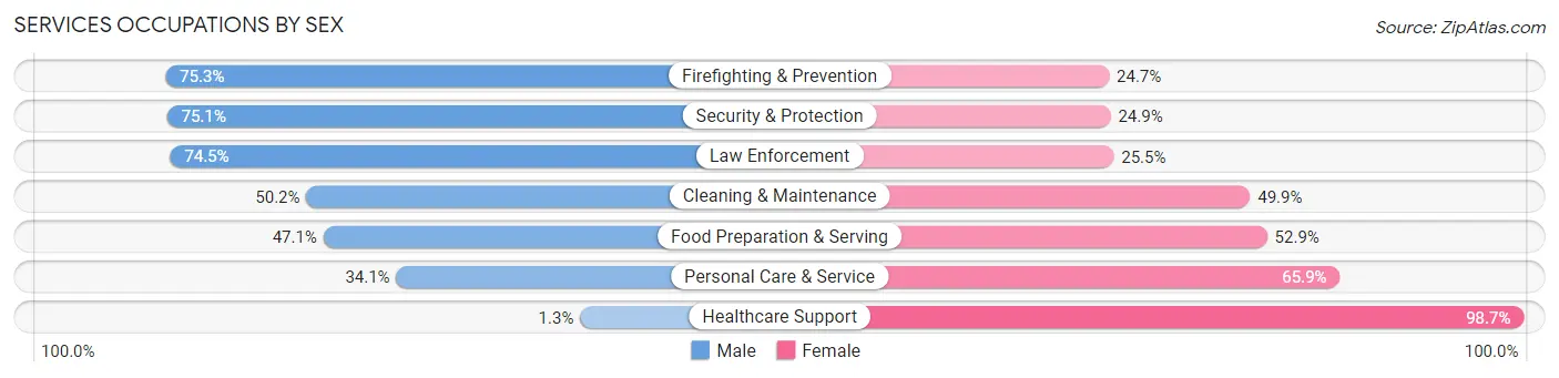 Services Occupations by Sex in Zip Code 31313