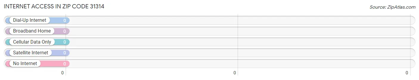 Internet Access in Zip Code 31314