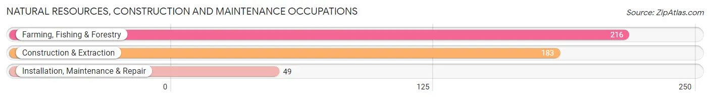 Natural Resources, Construction and Maintenance Occupations in Zip Code 31775