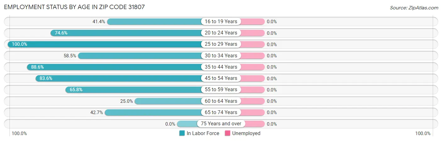 Employment Status by Age in Zip Code 31807