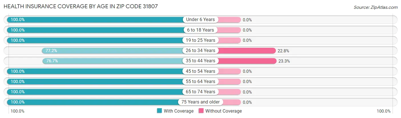 Health Insurance Coverage by Age in Zip Code 31807
